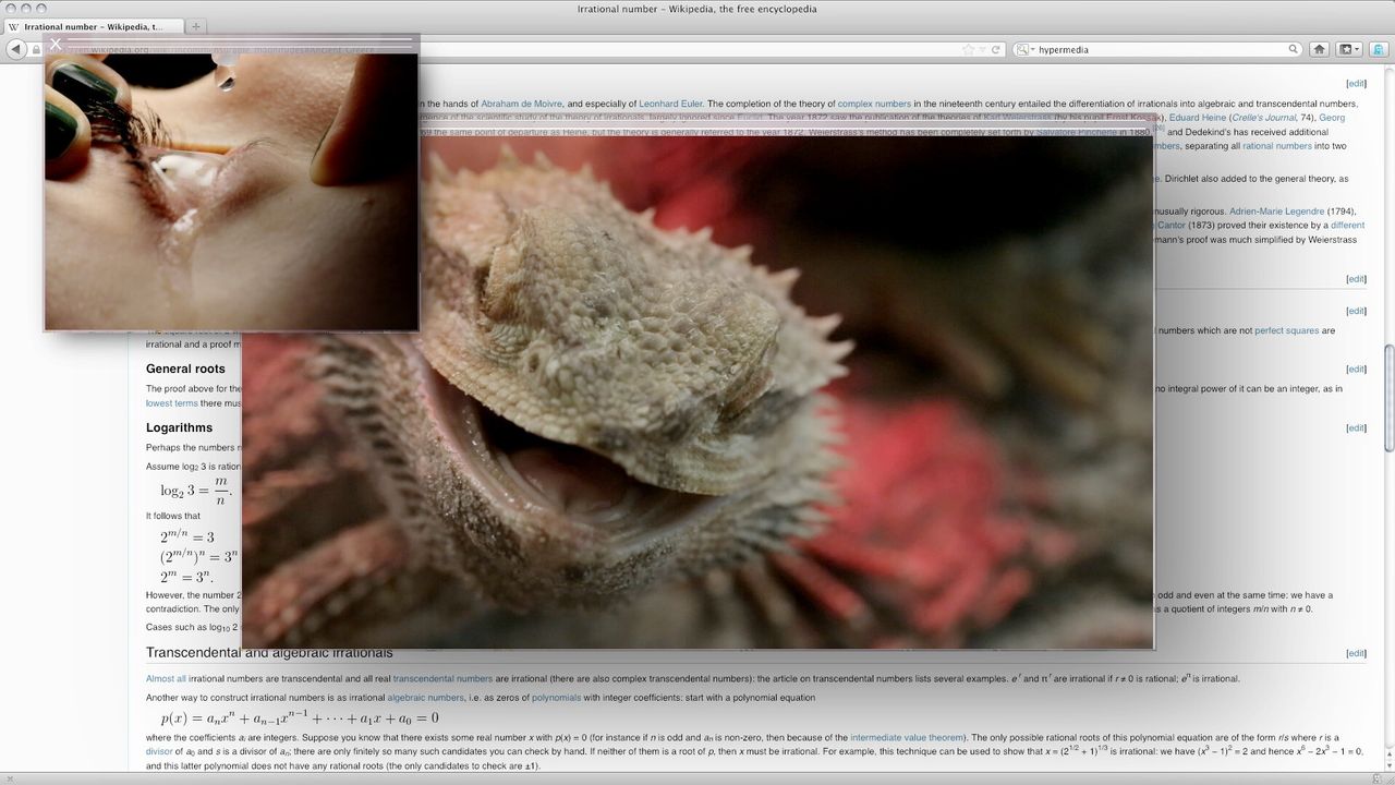 A still from “Grosse Fatigue” (2013). (Courtesy Camille Henrot, Silex Films, Mennour, and Hauser & Wirth)