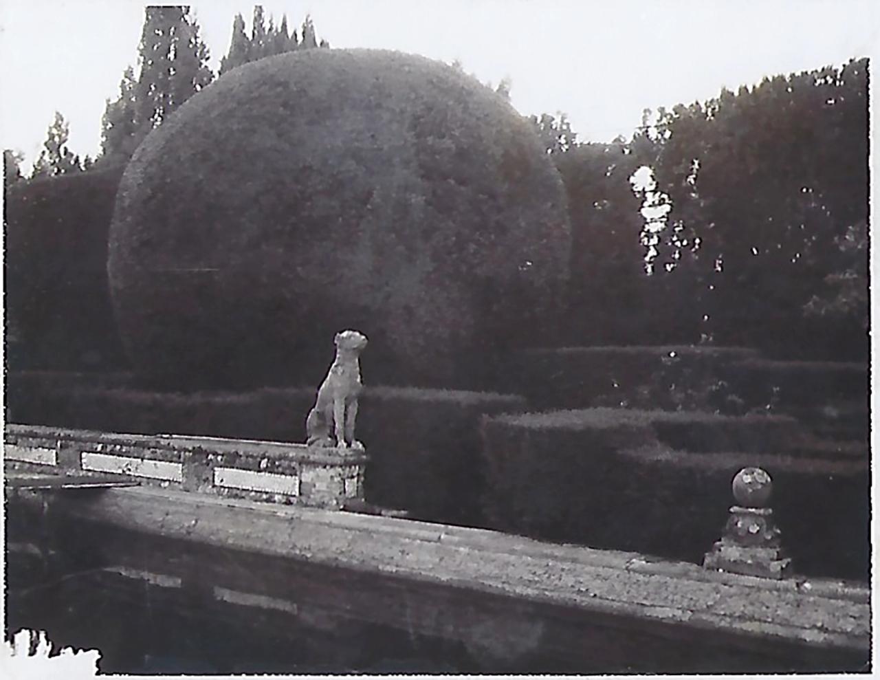 Image from Needleman’s tour of Italian Renaissance gardens in 1996. (Courtesy Deborah Needleman)