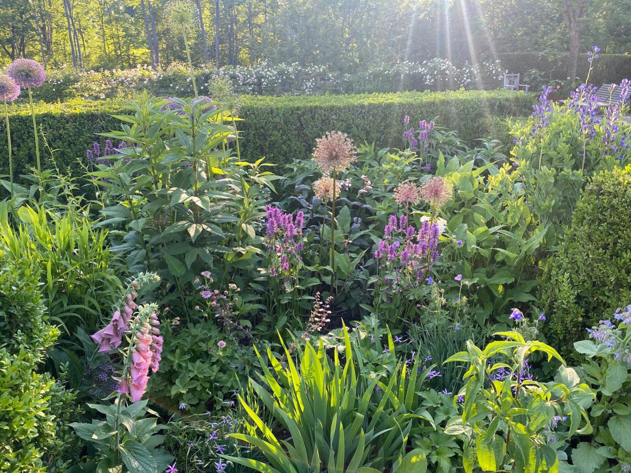 Needleman’s garden in upstate New York. (Courtesy Deborah Needleman)