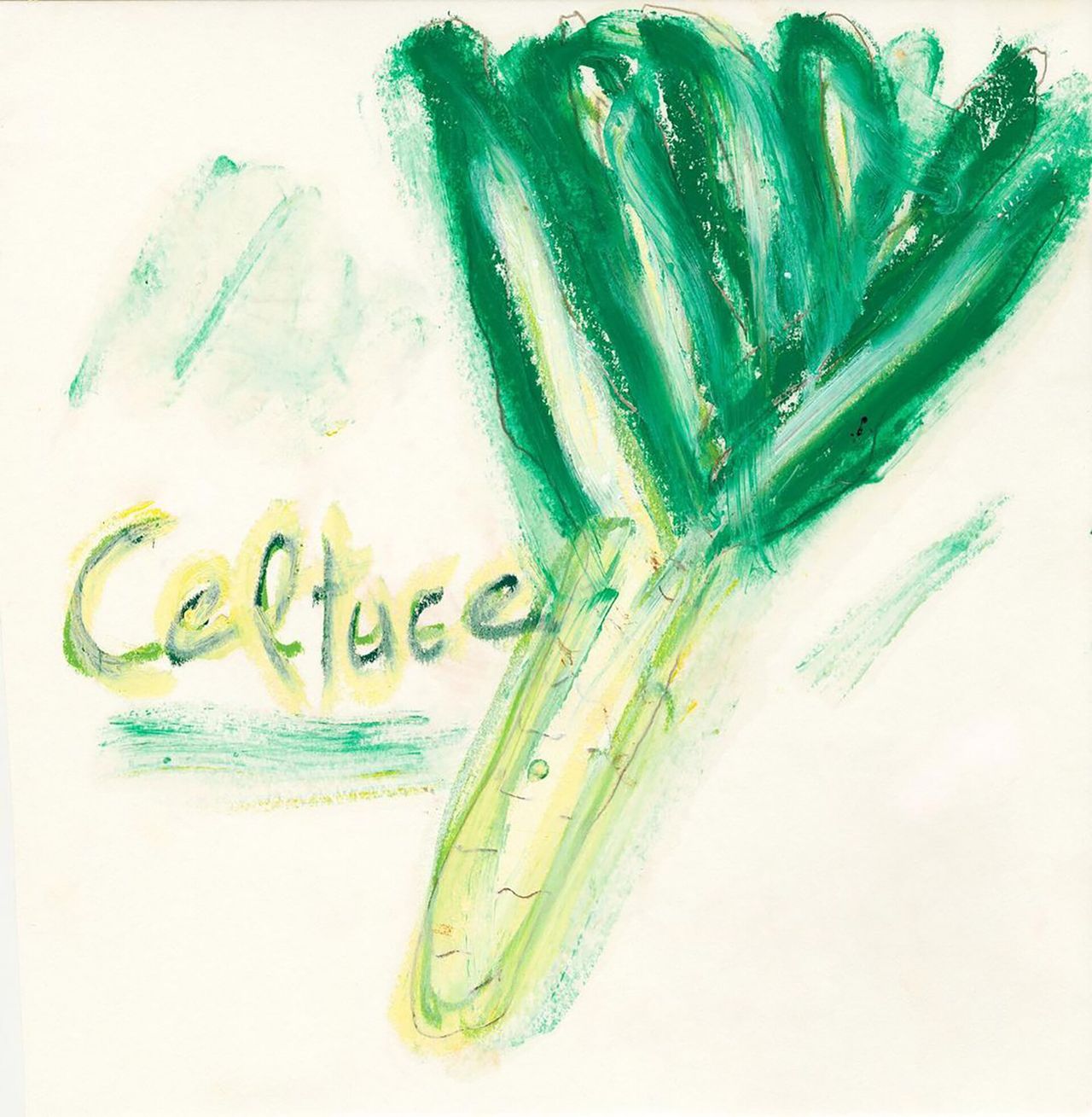 A sketch of lettuce by Humm. (Courtesy Daniel Humm)