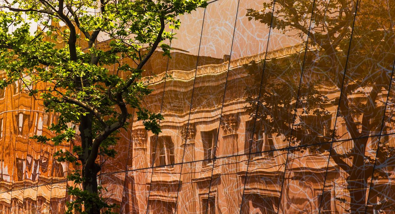 Rendering of the Far Rockaway Writer’s Library (2023) designed by Snøhetta in collaboration with José Parlá. (Courtesy Snøhetta)