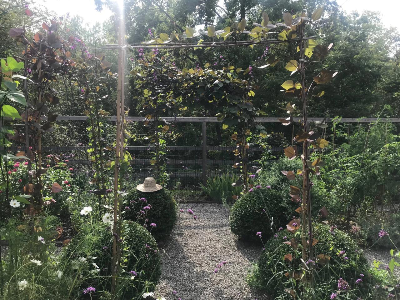 Needleman’s garden in upstate New York. (Courtesy Deborah Needleman)