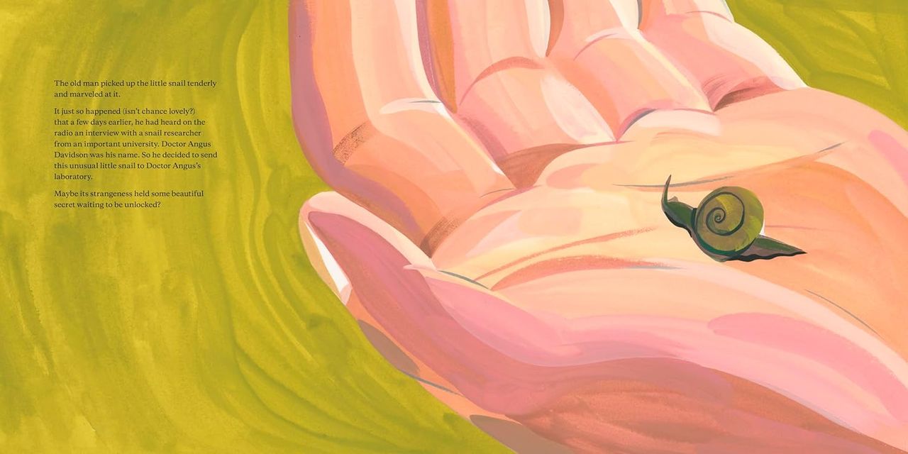 Illustration by Ping Zhu from Popova’s The Snail with the Right Heart: A True Story (2021). (Courtesy Enchanted Lion Books)