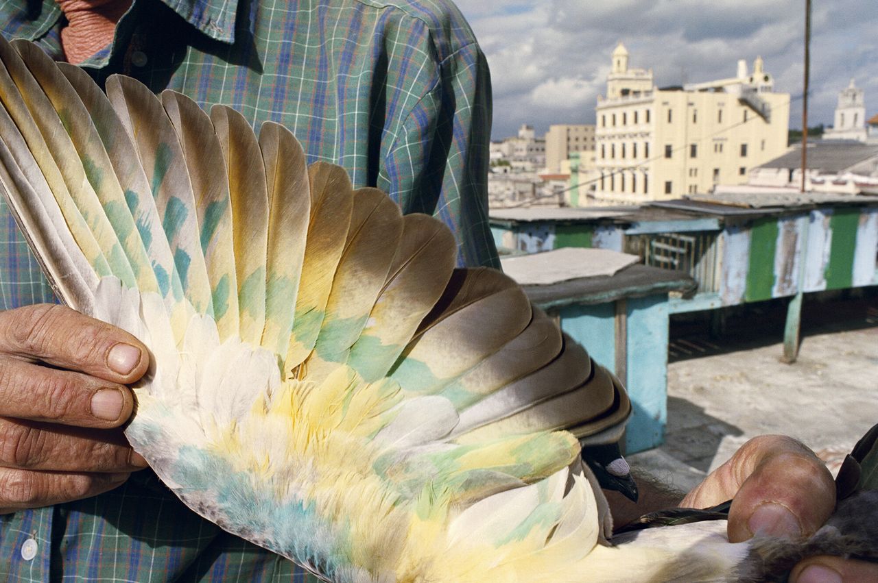Rebecca Norris Webb, Havana, 2008, from the Radius book Violet Isle with Alex Webb. (Courtesy Rebecca Norris Webb)