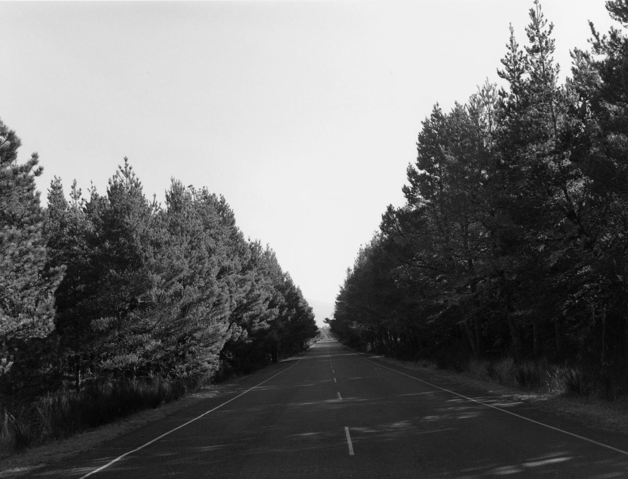 An image from Robert Adams’s series “Nehalem Spit, Oregon” (2013). (© Robert Adams. Courtesy Fraenkel Gallery, San Francisco)