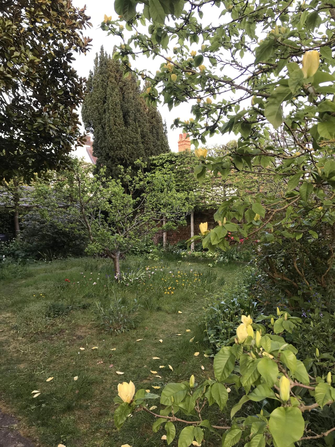 The plum lawn in April. (Courtesy Olivia Laing)