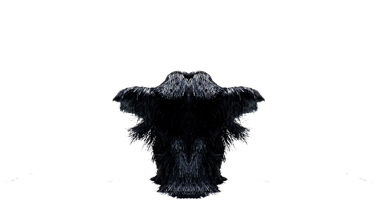 Still from Cave’s video work “Blot” (2012). (Courtesy the artist and Jack Shainman Gallery)