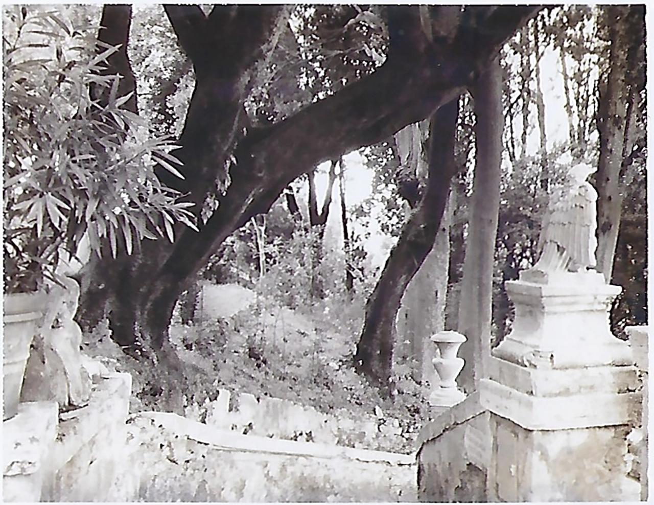 Image from Needleman’s tour of Italian Renaissance gardens in 1996. (Courtesy Deborah Needleman)