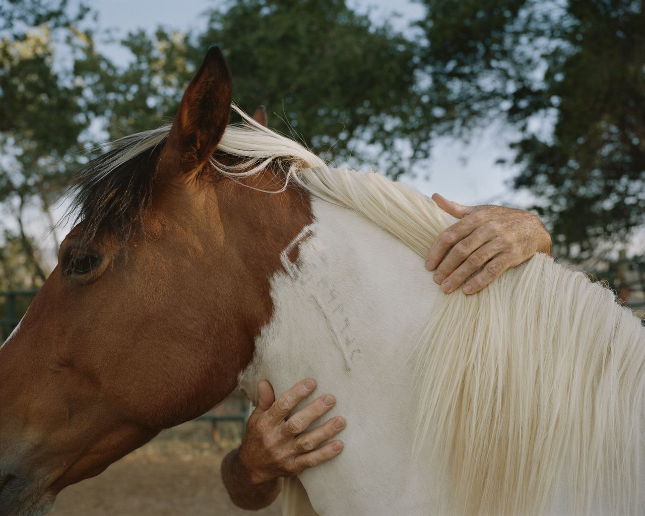 “James, Hotchkiss, Colorado, 2016” from Bailey’s series “The North Fork.” (Courtesy Trent Davis Bailey)