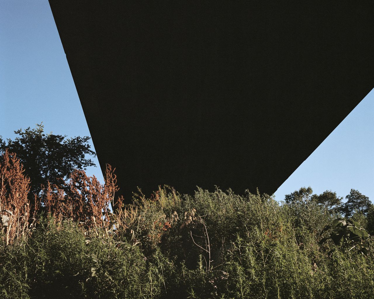 “Untitled (Overpass), Iowa, 2016” from Bailey’s ongoing series “Son Pictures.” (Courtesy Trent Davis Bailey)