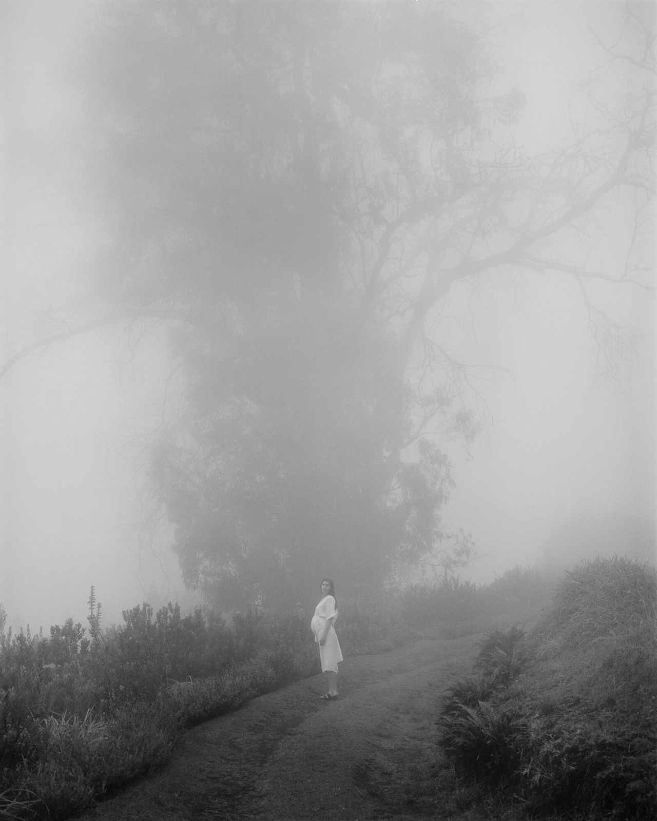 “Untitled (Emma at five months), Hawaii, 2019” from Bailey’s ongoing series “Son Pictures.” (Courtesy Trent Davis Bailey)