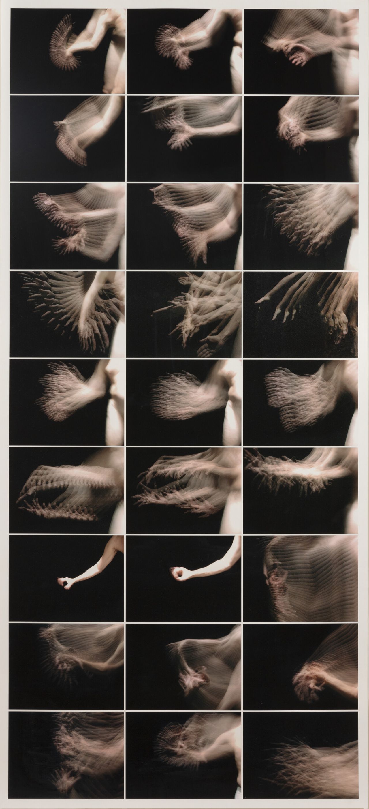 “Chronophotograph #7” (2002-2005) by Jamie Nares. (Courtesy Kasmin Gallery)