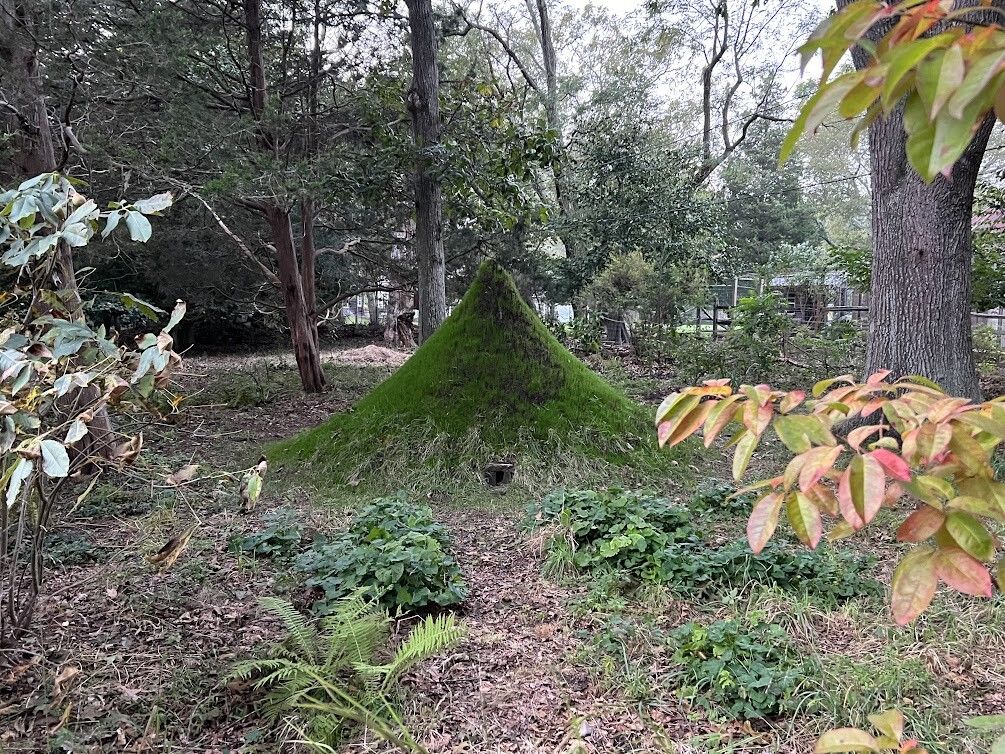 The hibernaculum at von Gal’s home, Marshouse, in East Hampton, New York. (Courtesy Edwina von Gal)