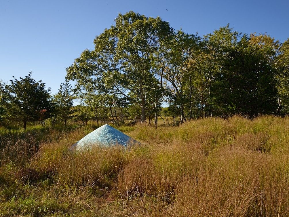 The gounds of Marshouse. (Photo: Allan Pollok-Morris. Courtesy Edwina von Gal)
