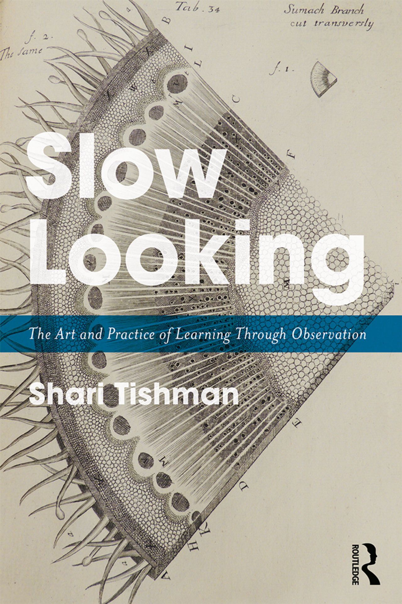 The cover of Slow Looking: The Art and Practice of Learning Through Observation by Shari Tishman. (Courtesy Routledge)