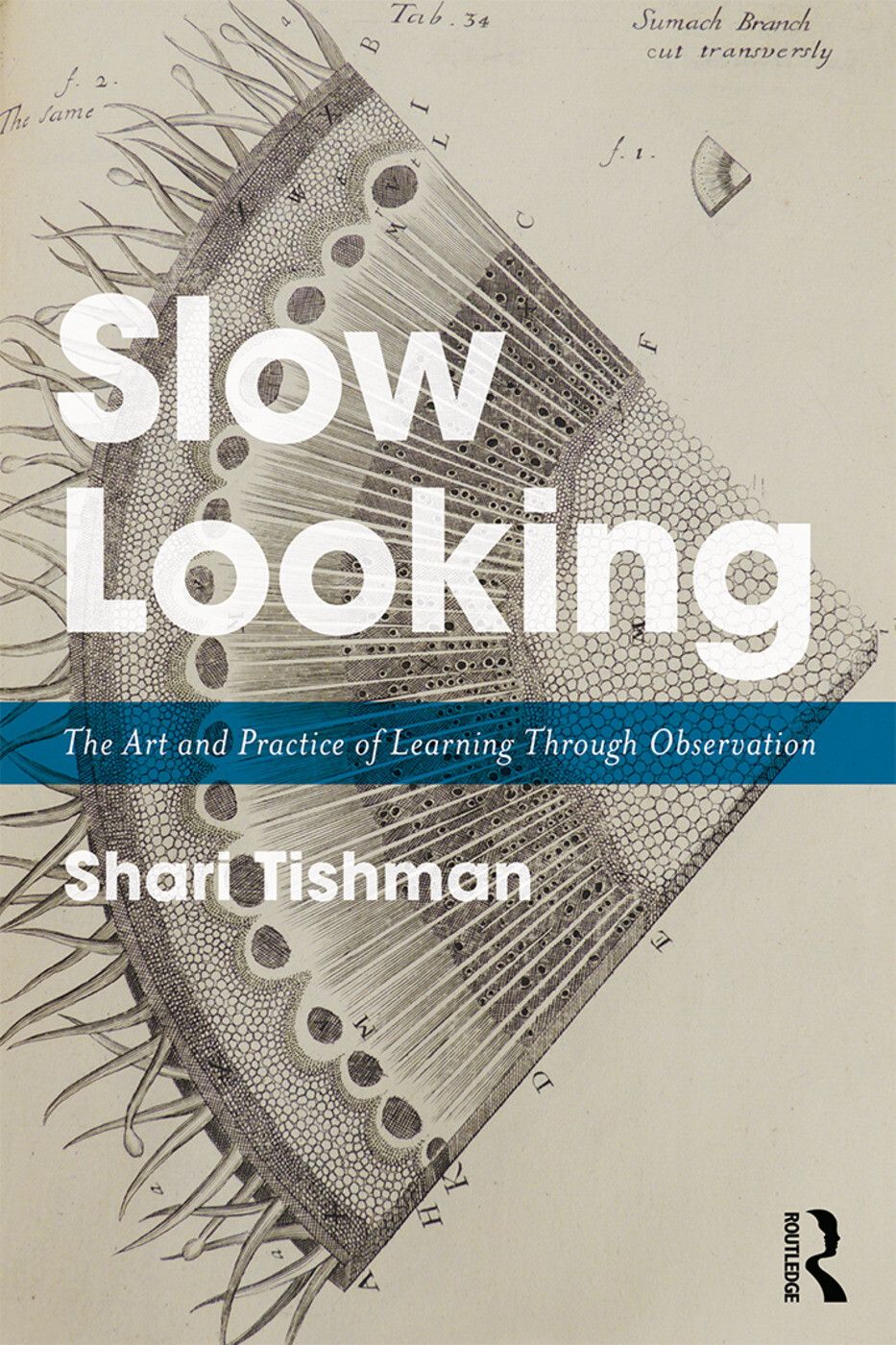 The cover of Slow Looking: The Art and Practice of Learning Through Observation by Shari Tishman. (Courtesy Routledge)