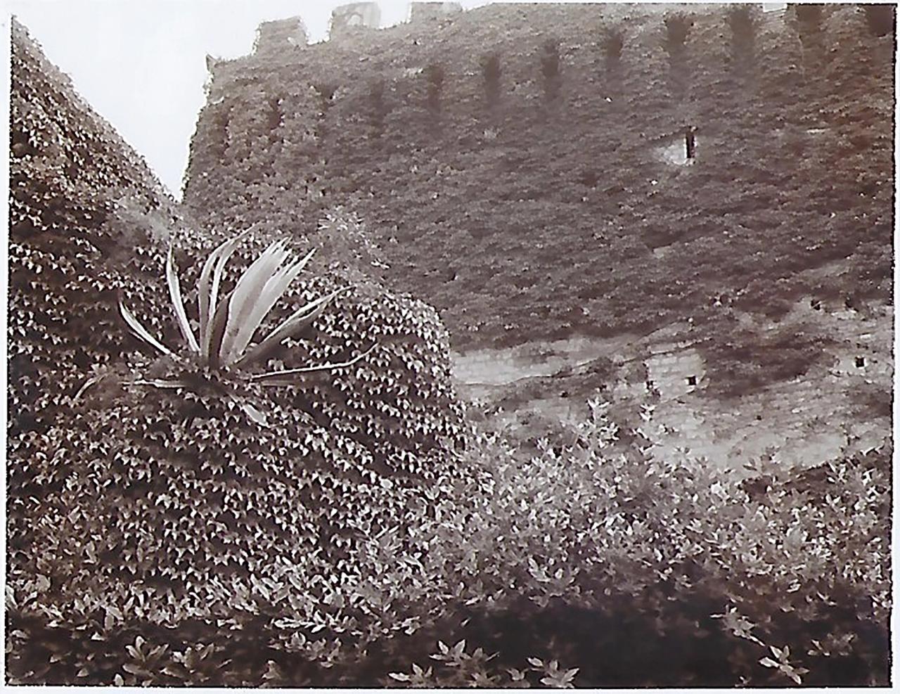 Image from Needleman’s tour of Italian Renaissance gardens in 1996. (Courtesy Deborah Needleman)