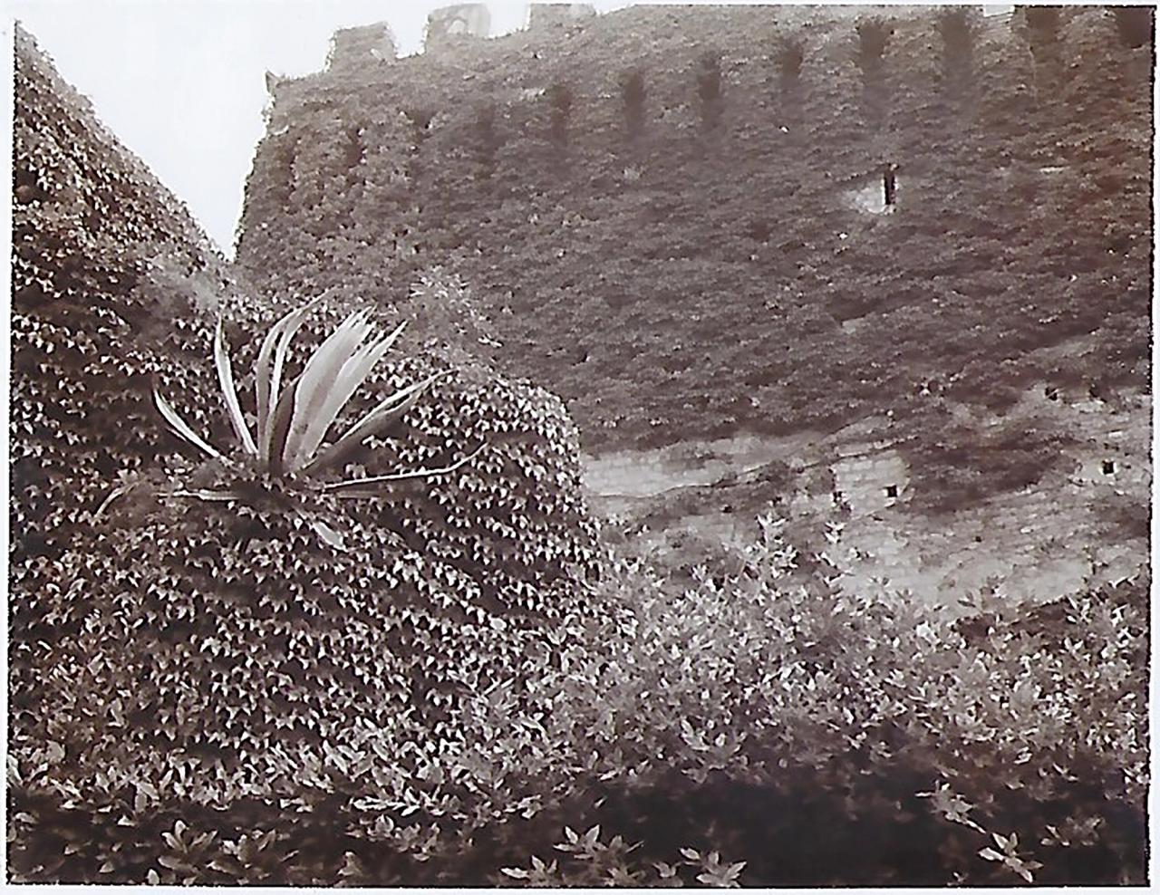 Image from Needleman’s tour of Italian Renaissance gardens in 1996. (Courtesy Deborah Needleman)