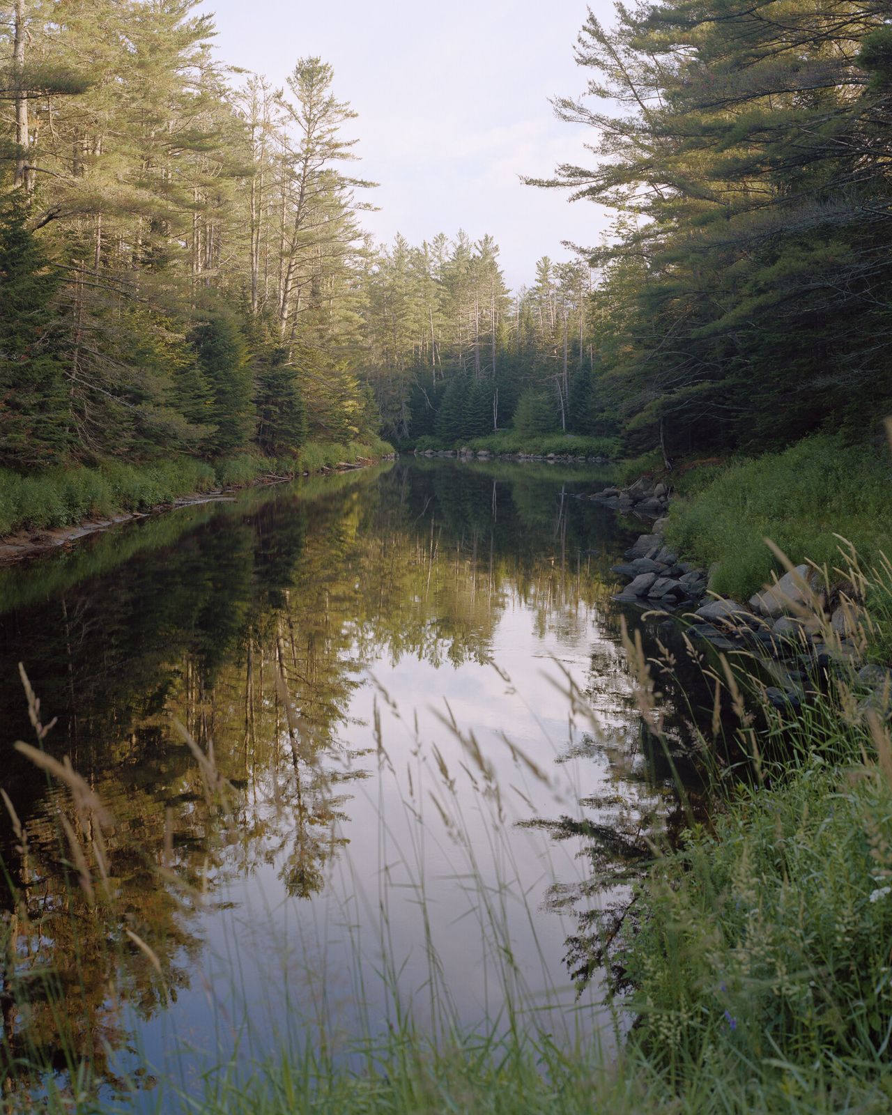“Untitled (Riverbank), New York, 2019” from Bailey’s ongoing series “Son Pictures.” (Courtesy Trent Davis Bailey)
