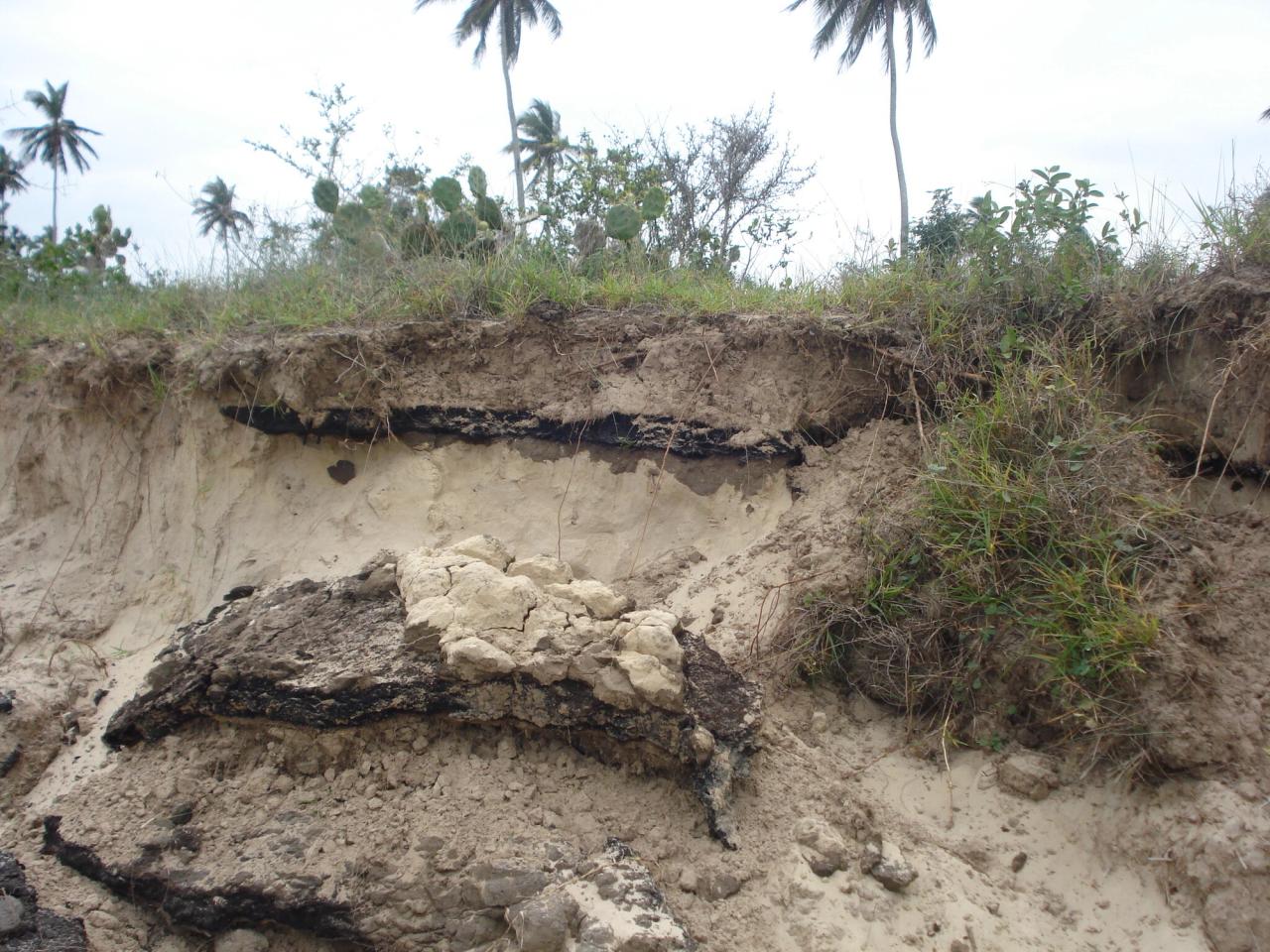 A photo demonstrating erosion and rising sea levels in Veracruz, Mexico, in 2006. (Courtesy Xiye Bastida)
