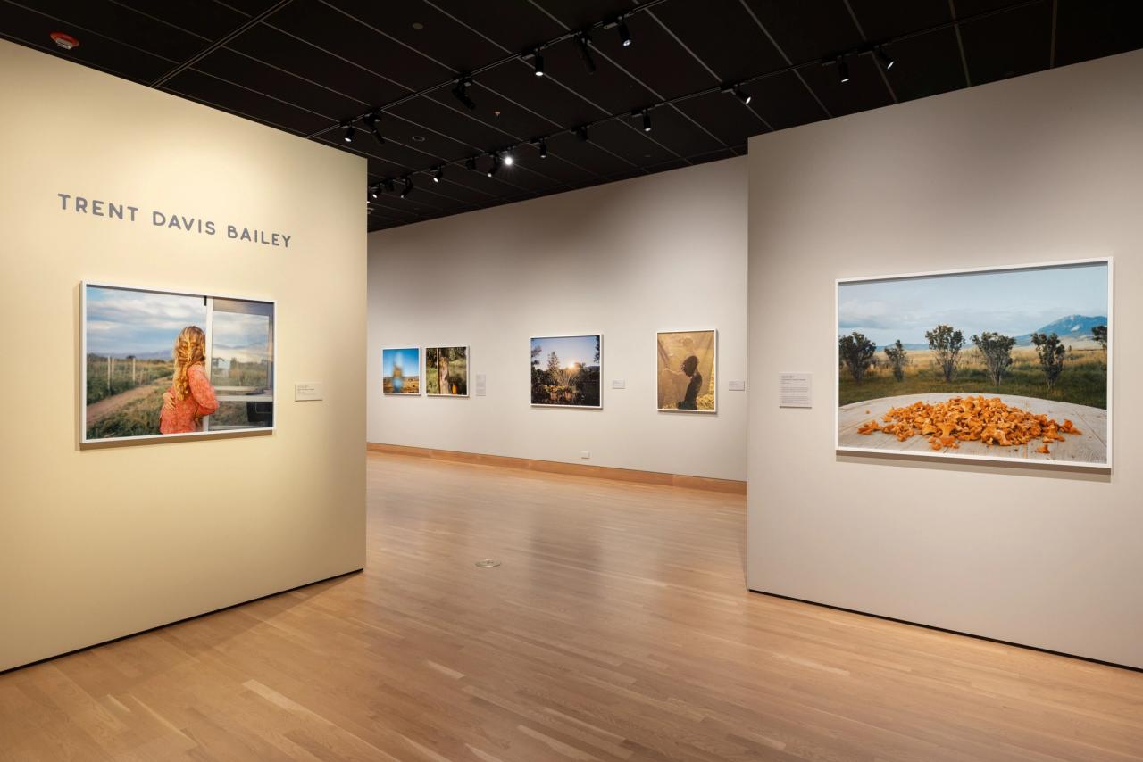 Installation image of Bailey’s solo exhibition “Personal Geographies” (2023) at the Denver Art Museum. (Courtesy Trent Davis Bailey)