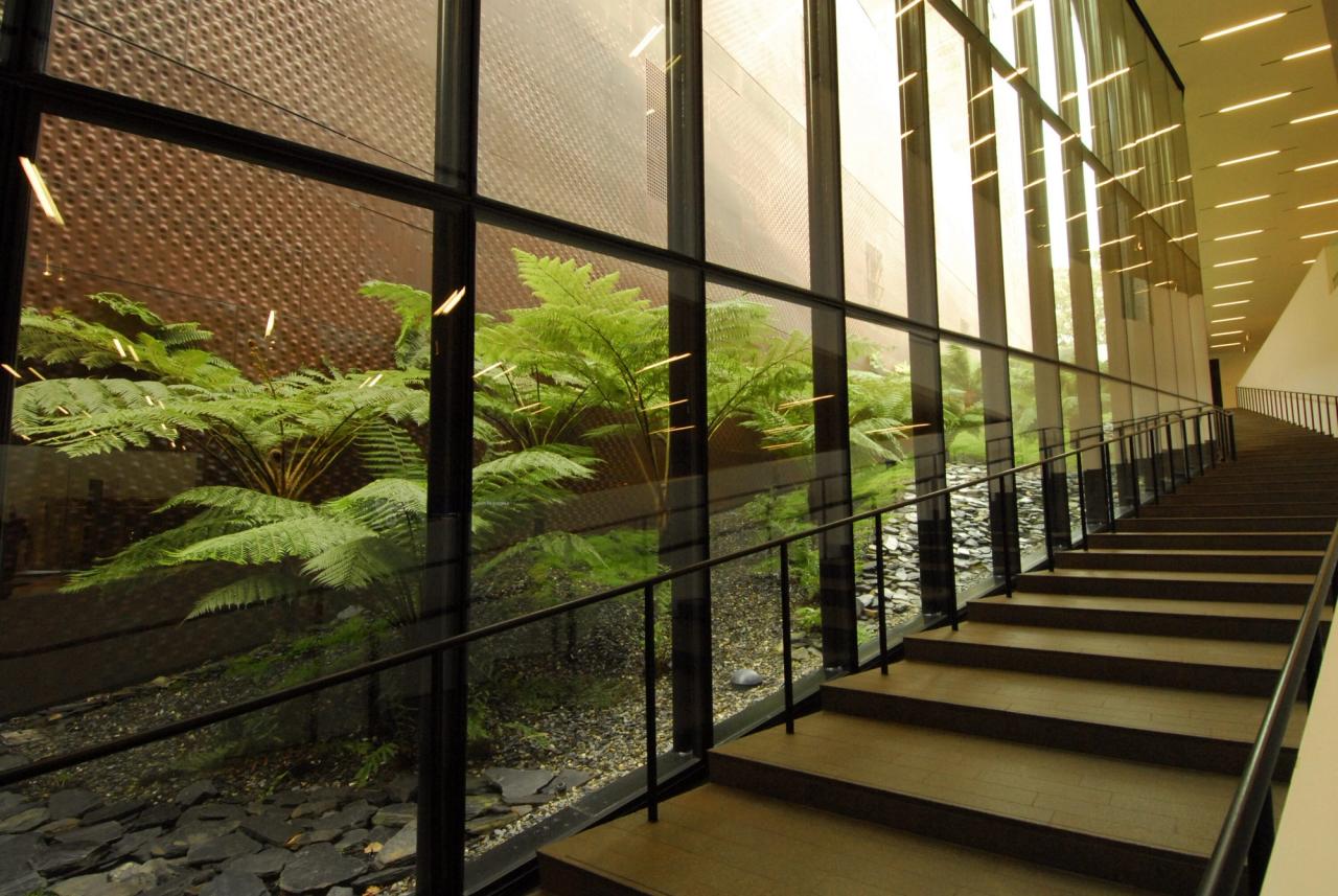 The de Young Museum gardens in Golden Gate Park in San Francisco, designed by Hood Design Studio. (Courtesy Walter Hood)