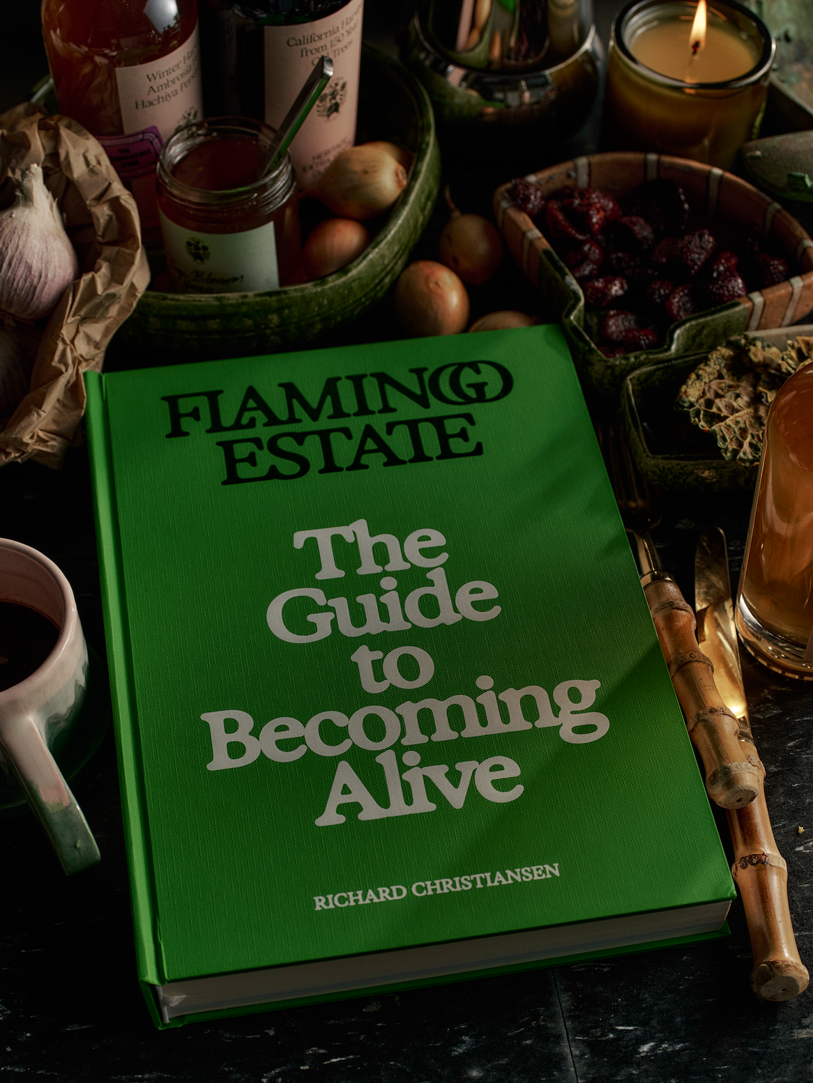 Cover of The Guide to Becoming Alive (2024) by Christiansen. (Photo: Hugh Davison. Courtesy Chronicle Books)