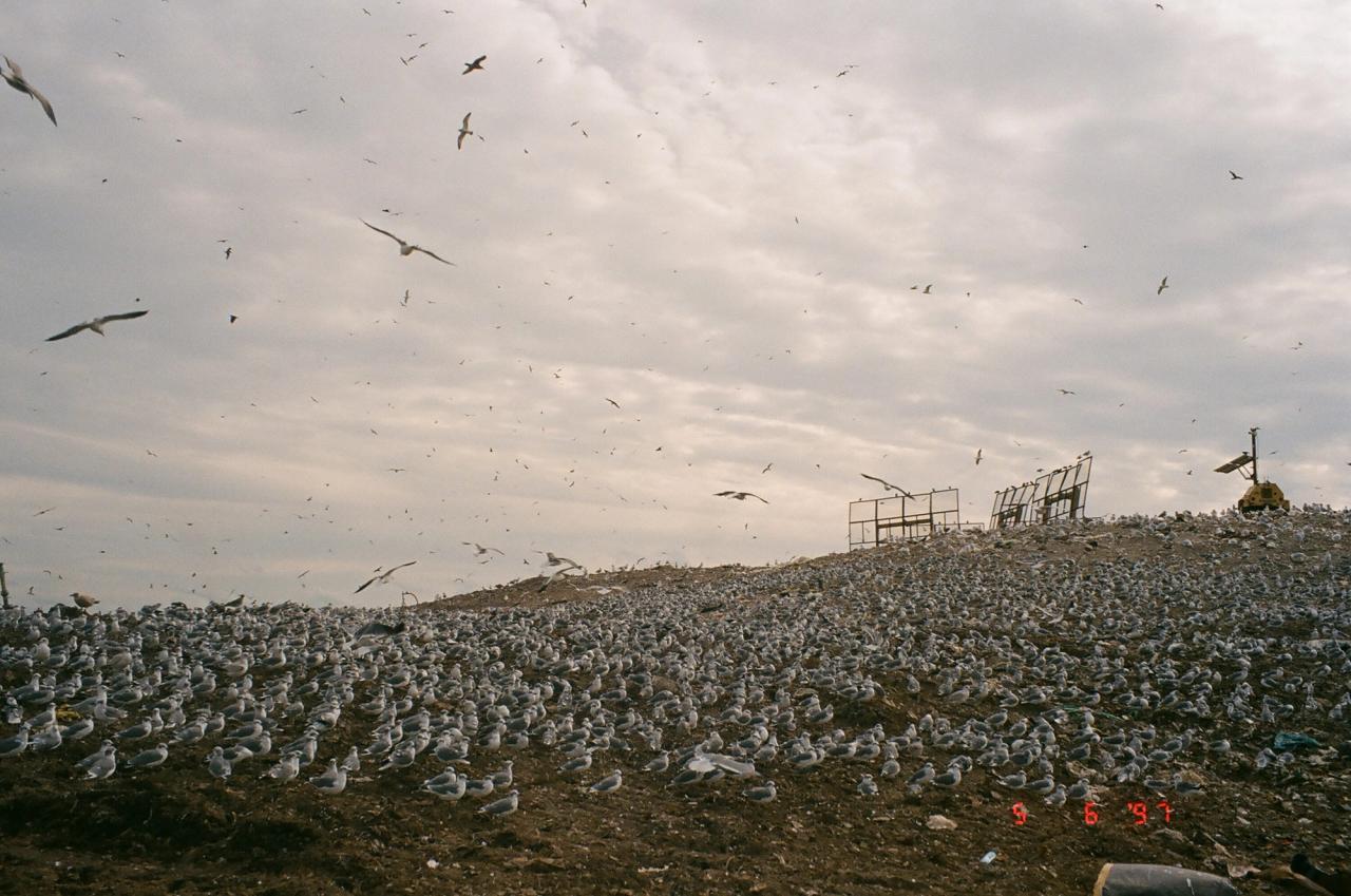 Image from one of Slow Factory’s trips to a landfill as part of its “Landfills as Museums” project. (Courtesy Slow Factory)