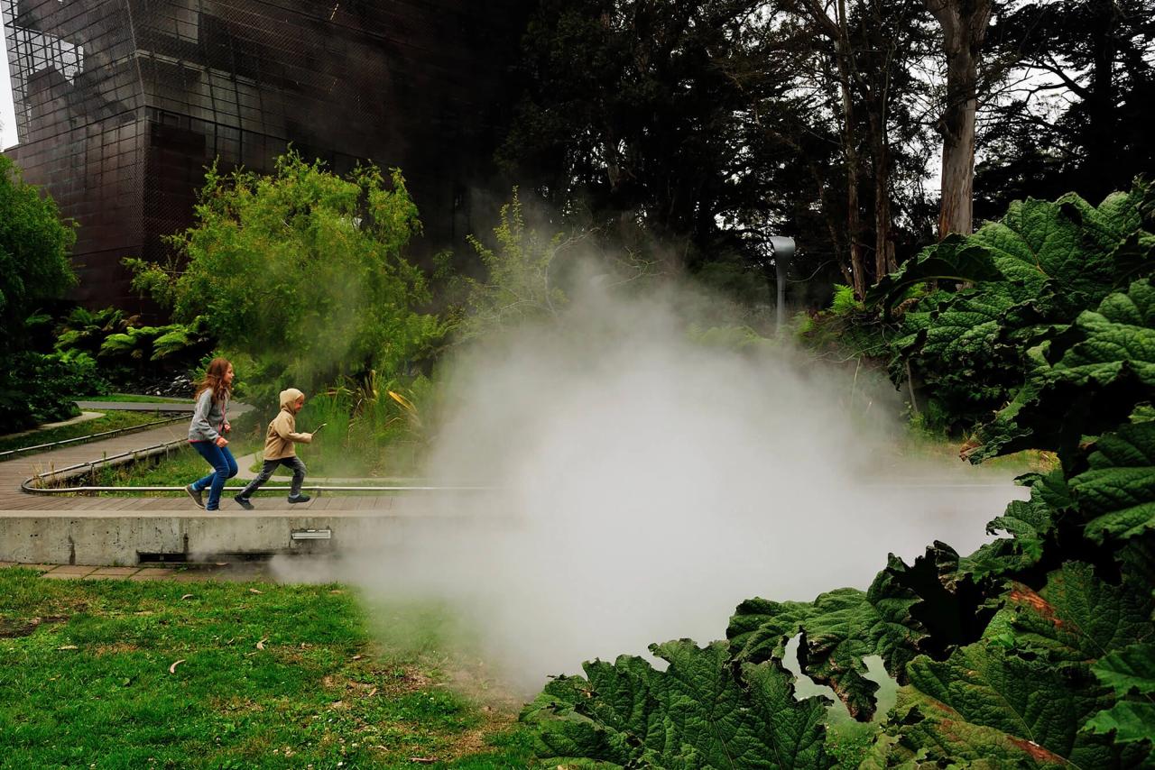 The de Young Museum gardens in Golden Gate Park in San Francisco, designed by Hood Design Studio. (Courtesy Walter Hood)