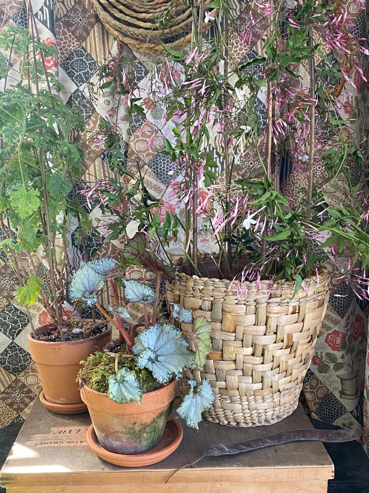 A rush basket made by Needleman. (Courtesy Deborah Needleman)