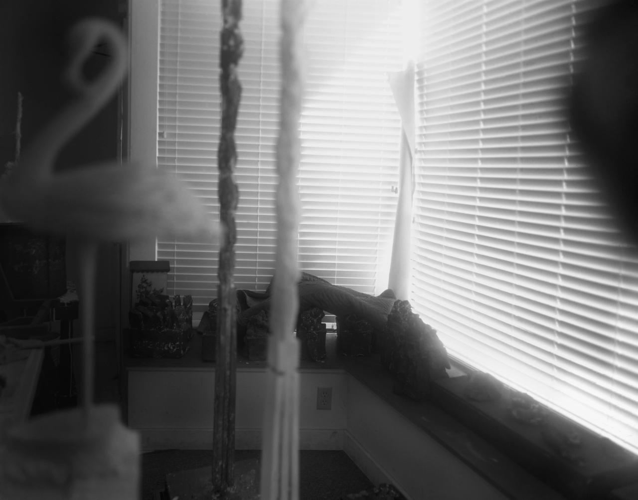 “Remembered Light, Untitled (Flamingo and Blinds)” (2012) in Sally Mann’s series “Remembered Light” (1999-2012) of Cy Twombly’s studio in Lexington, Virginia. (© Sally Mann. Courtesy Gagosian)