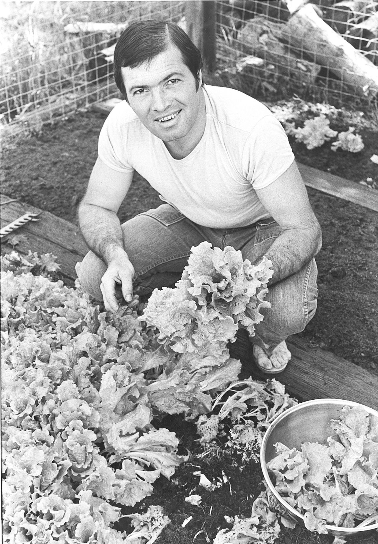 Pépin gathering greens in his garden. (Courtesy Jacques Pépin)