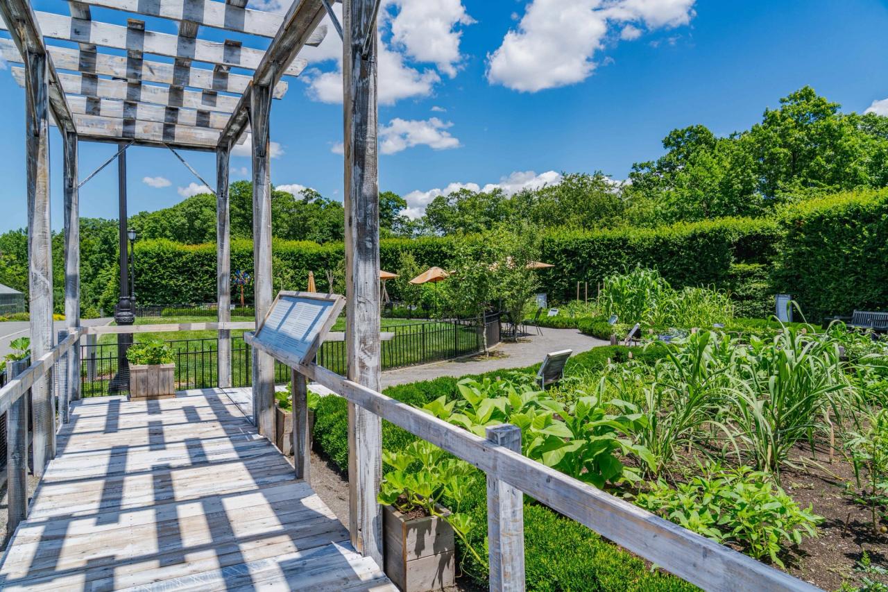 View of Harris’s African American Garden project in the summer of 2022 in collaboration with the New York Botanical Garden. (Courtesy the New York Botanical Garden)