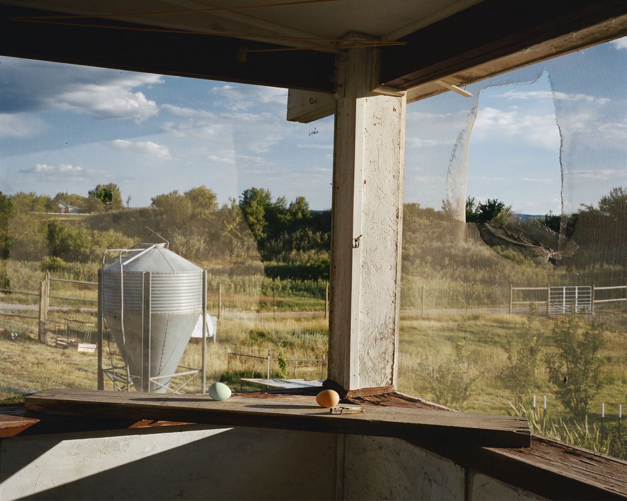 “Eggs, Paonia, Colorado, 2017” from Bailey’s series “The North Fork.” (Courtesy Trent Davis Bailey)