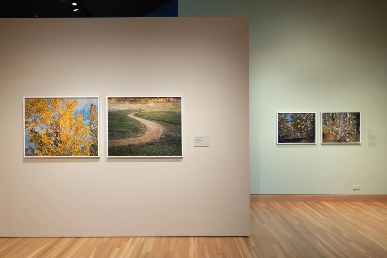 Installation image of Bailey’s solo exhibition “Personal Geographies” (2023) at the Denver Art Museum. (Courtesy Trent Davis Bailey)