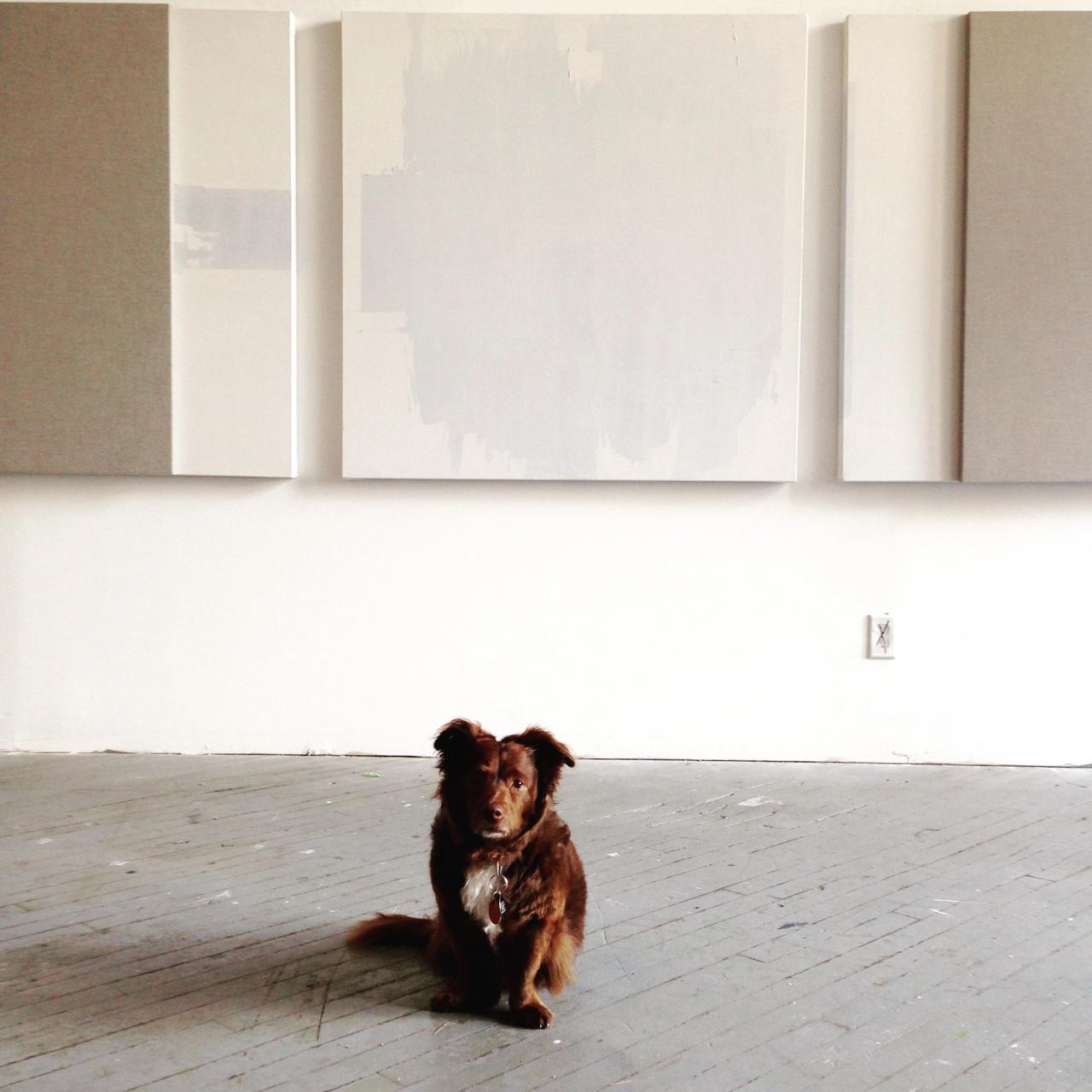 Jones’s dachshund (and only former studio assistant), Nina (2006–2024). (Courtesy Jennie C. Jones)