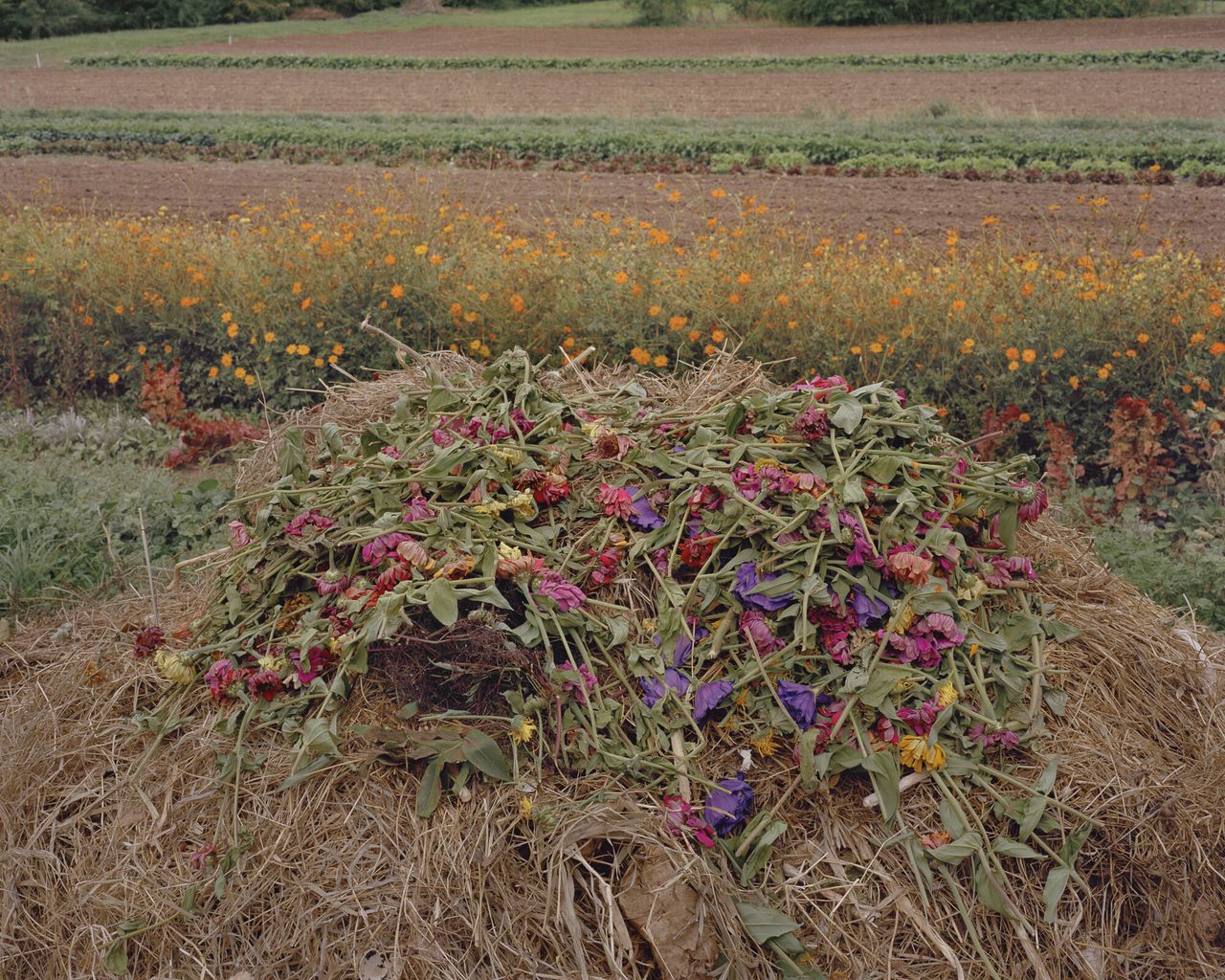 “Compost, Paonia, Colorado, 2015” from Bailey’s series “The North Fork.” (Courtesy Trent Davis Bailey)