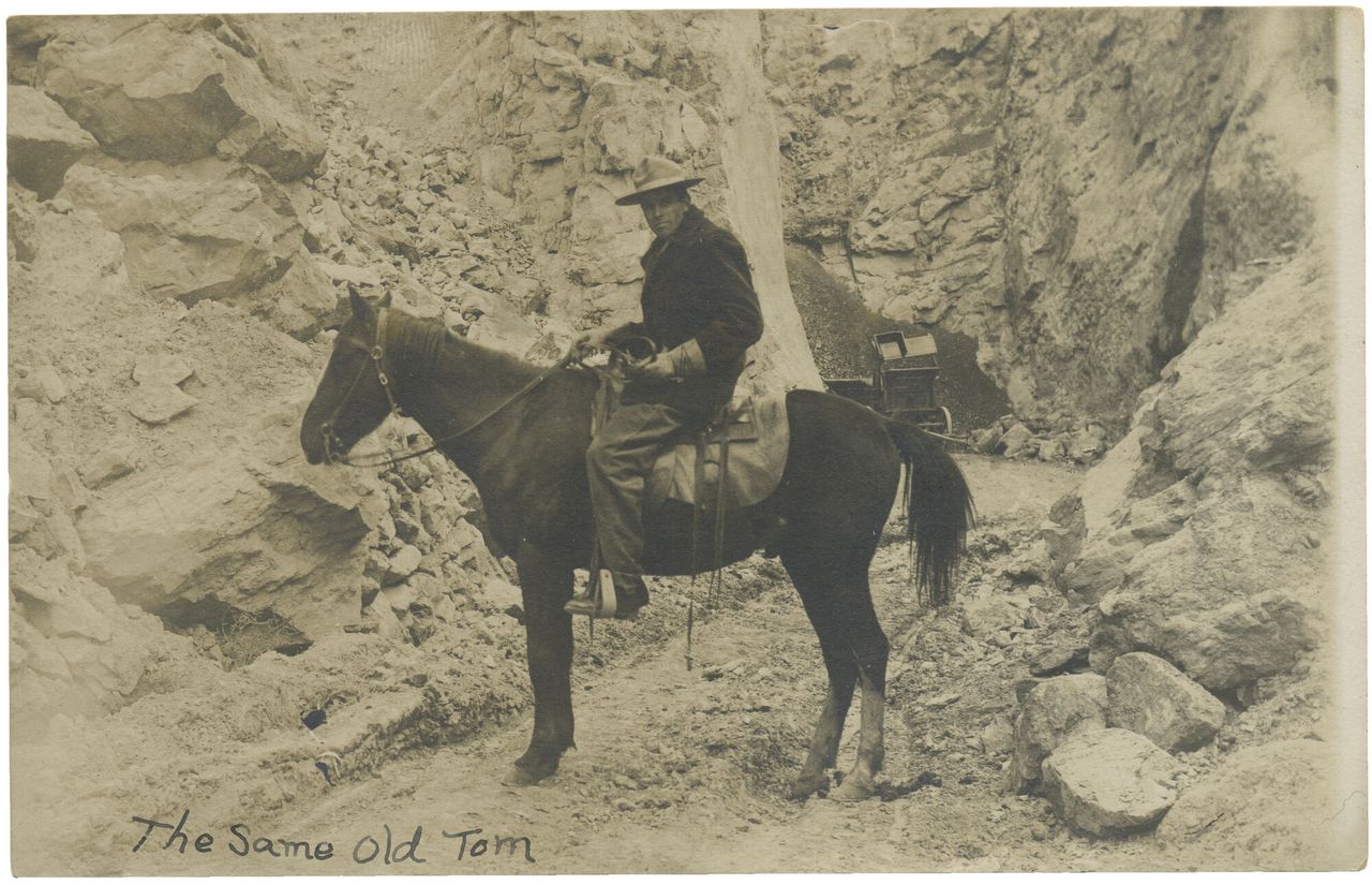 Early 1900s self-portrait by Thomas B. Jamison. (Courtesy the Hotchkiss-Crawford Historical Museum)