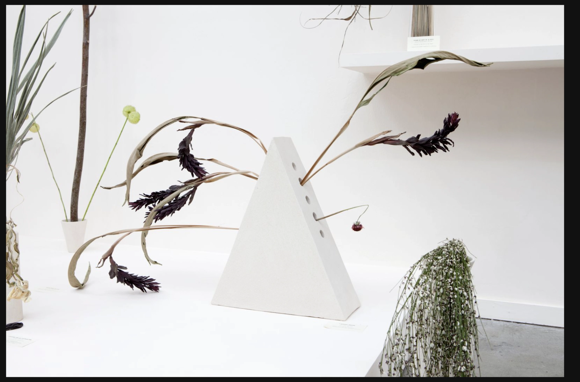 “Afrique fantôme, Michel Leiris” (2012). (Copyright ADAGP/Courtesy Camille Henrot and Mennour)