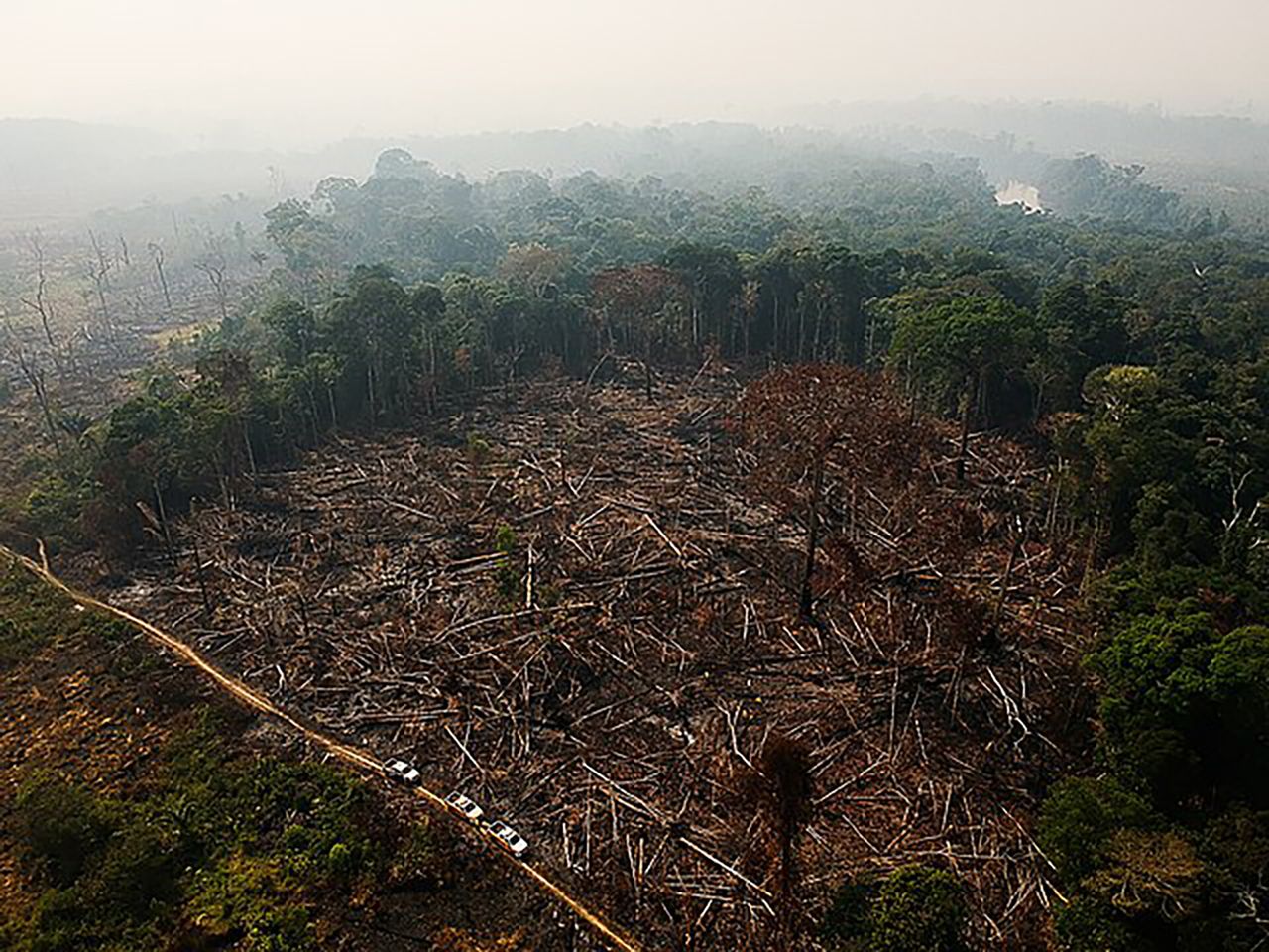 An area of the Amazon rainforest that was decimated by forest fires in 2020. (Courtesy Amazônia Real. Photo: Bruno Kelly)