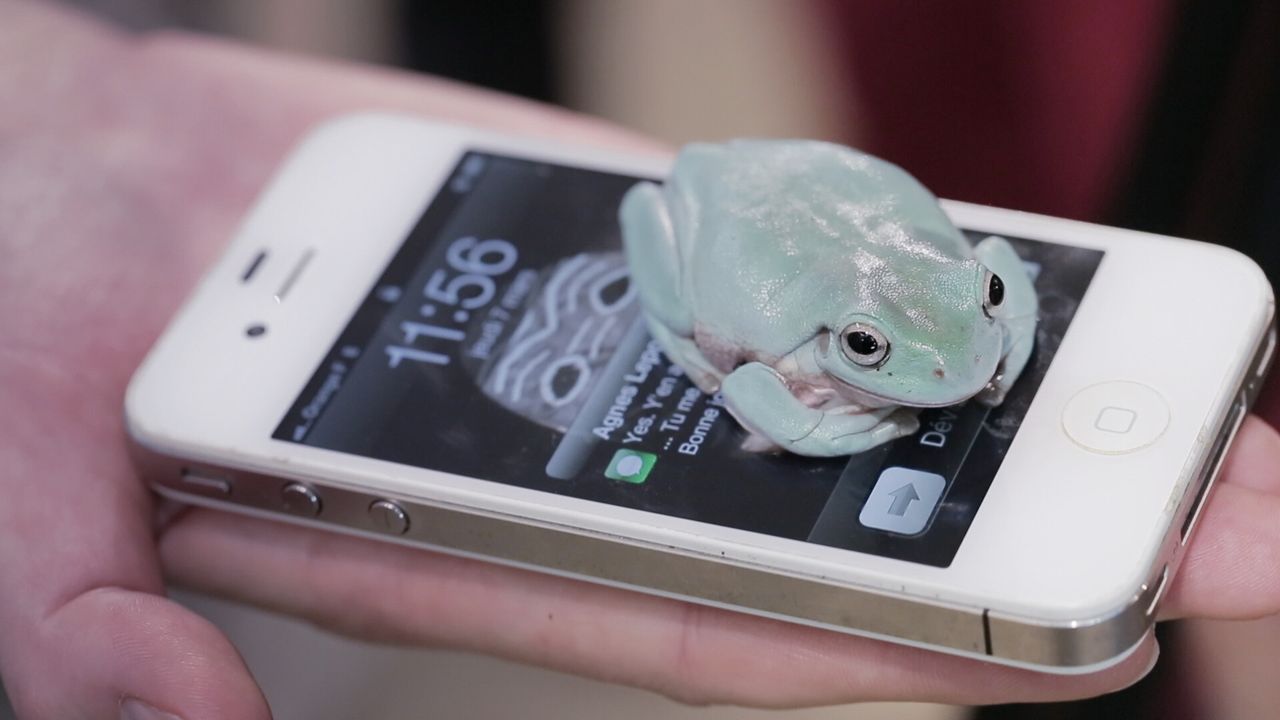 A still from “Grosse Fatigue” (2013). (Courtesy Camille Henrot, Silex Films, Mennour, and Hauser & Wirth)