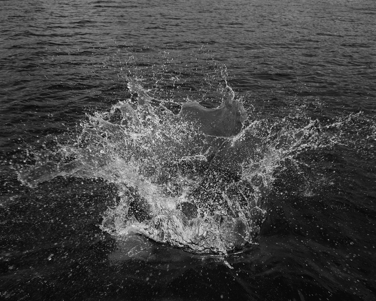 A photo of Spencer jumping into Lake Placid on July 19, 2019, part of Bailey’s series “Son Pictures.” (Courtesy Trent Davis Bailey)