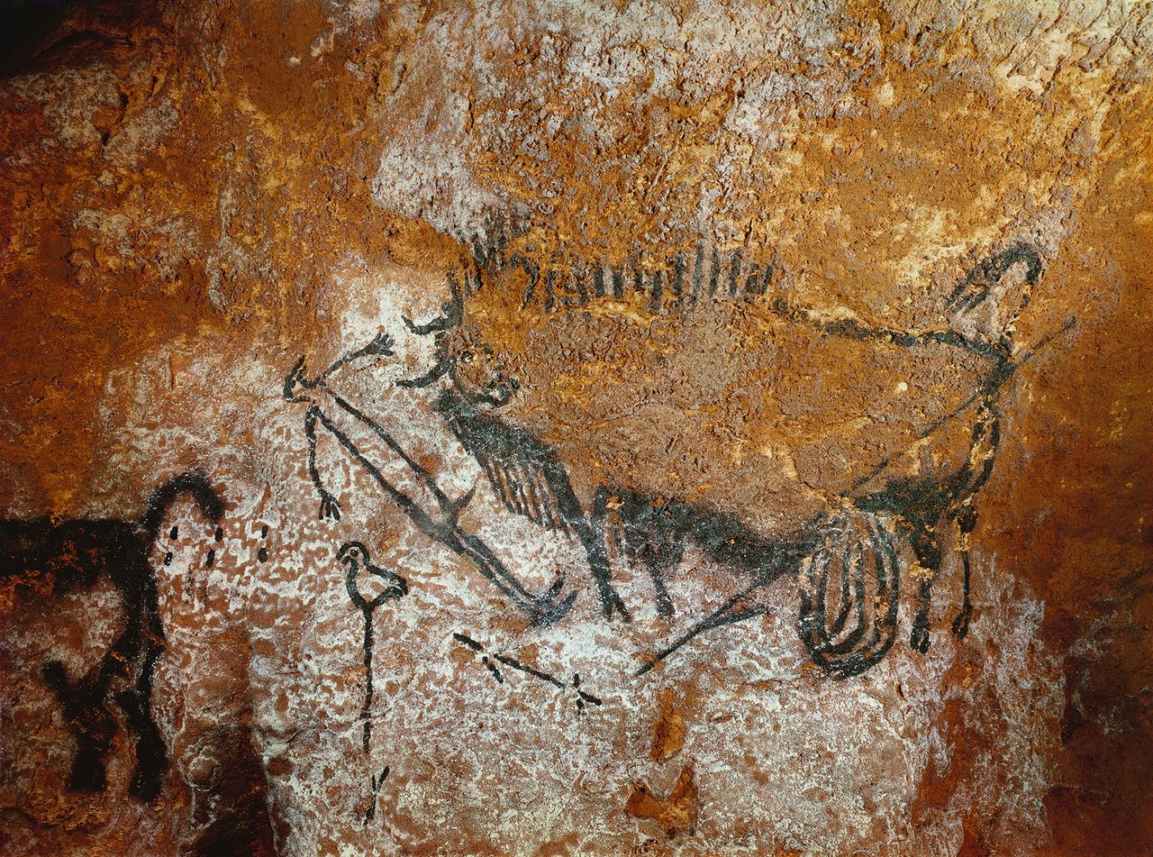 A picture of the Lascaux Caves from Trevor Paglen's "Last Pictures" project.