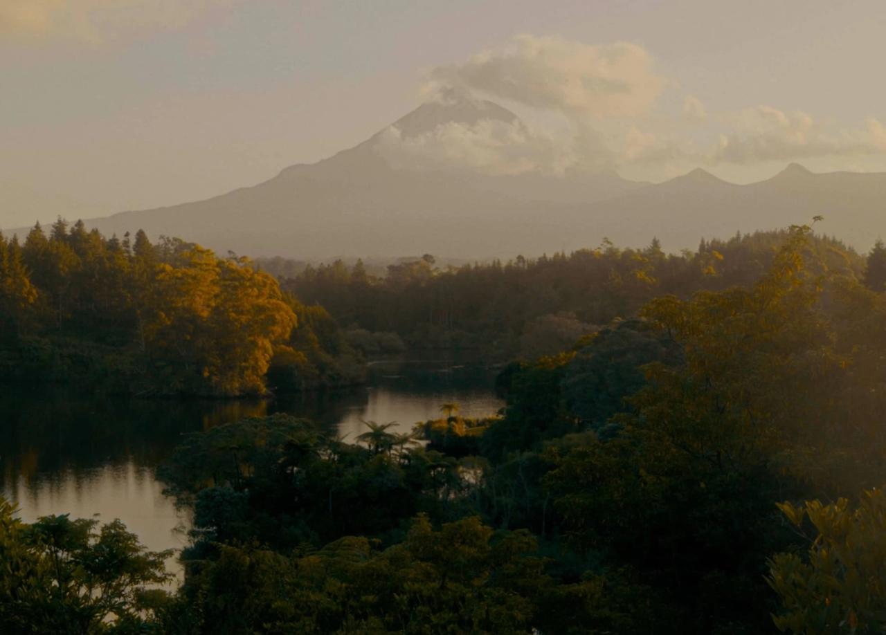 View of Mount Taranaki in New Zealand, where the Manuka plant, used for Manuka honey, blooms. (Courtesy Flamingo Estate).