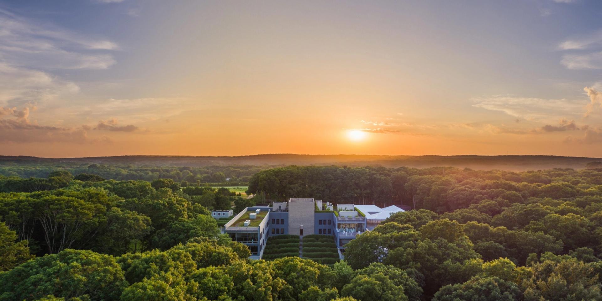 Aerial view of The Watermill Center on New York’s Long Island. (Photo: Lovis Ostenrik. Courtesy The Watermill Center)