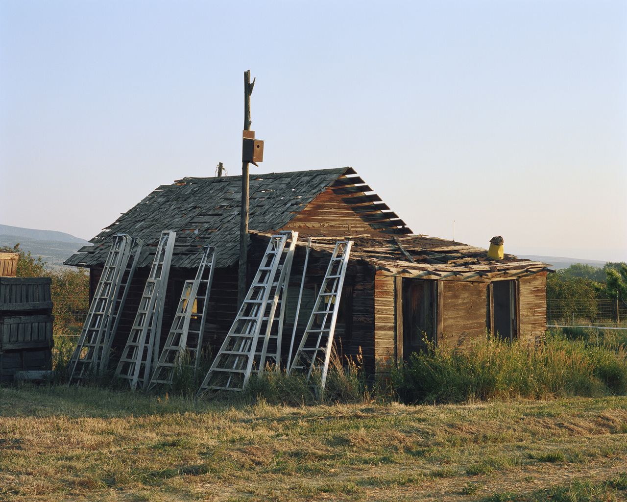“Fruit-Picking Ladders, Hotchkiss, Colorado, 2017” from Bailey’s series “The North Fork.” (Courtesy Trent Davis Bailey)
