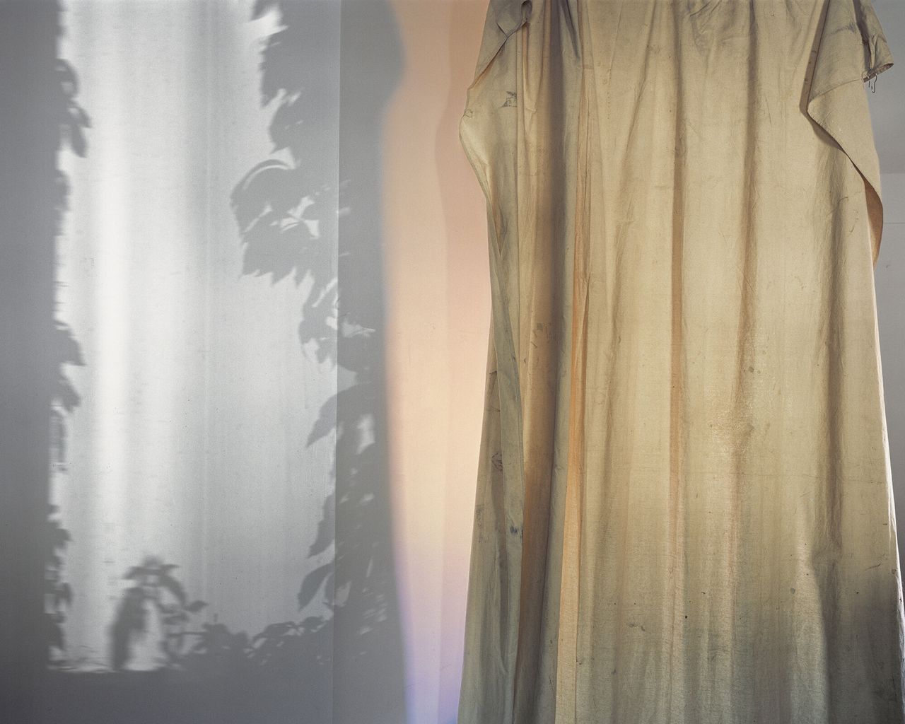 “Tarp, Paonia, Colorado, 2015” from Bailey’s series “The North Fork.” (Courtesy Trent Davis Bailey)