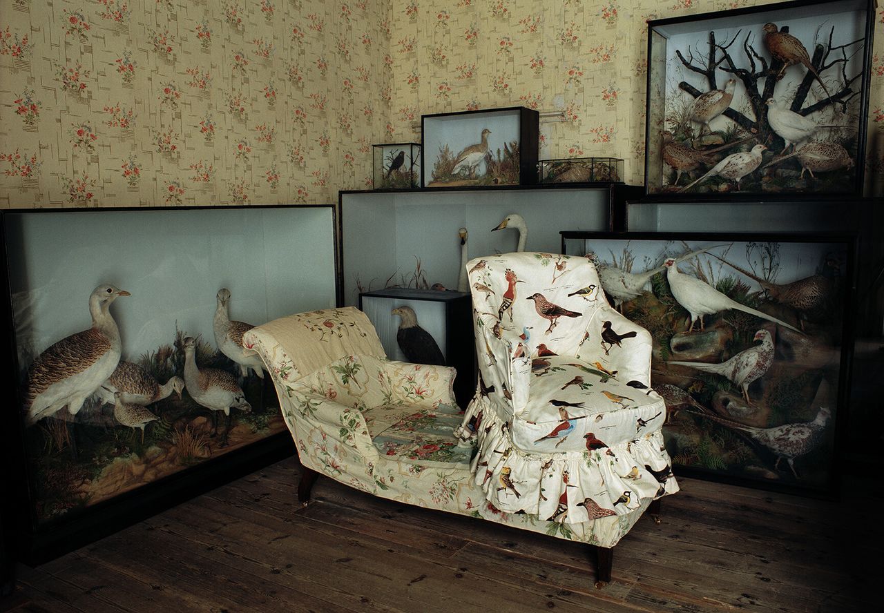 An editorial image from Toogood’s time at The World of Interiors. (Courtesy Faye Toogood)