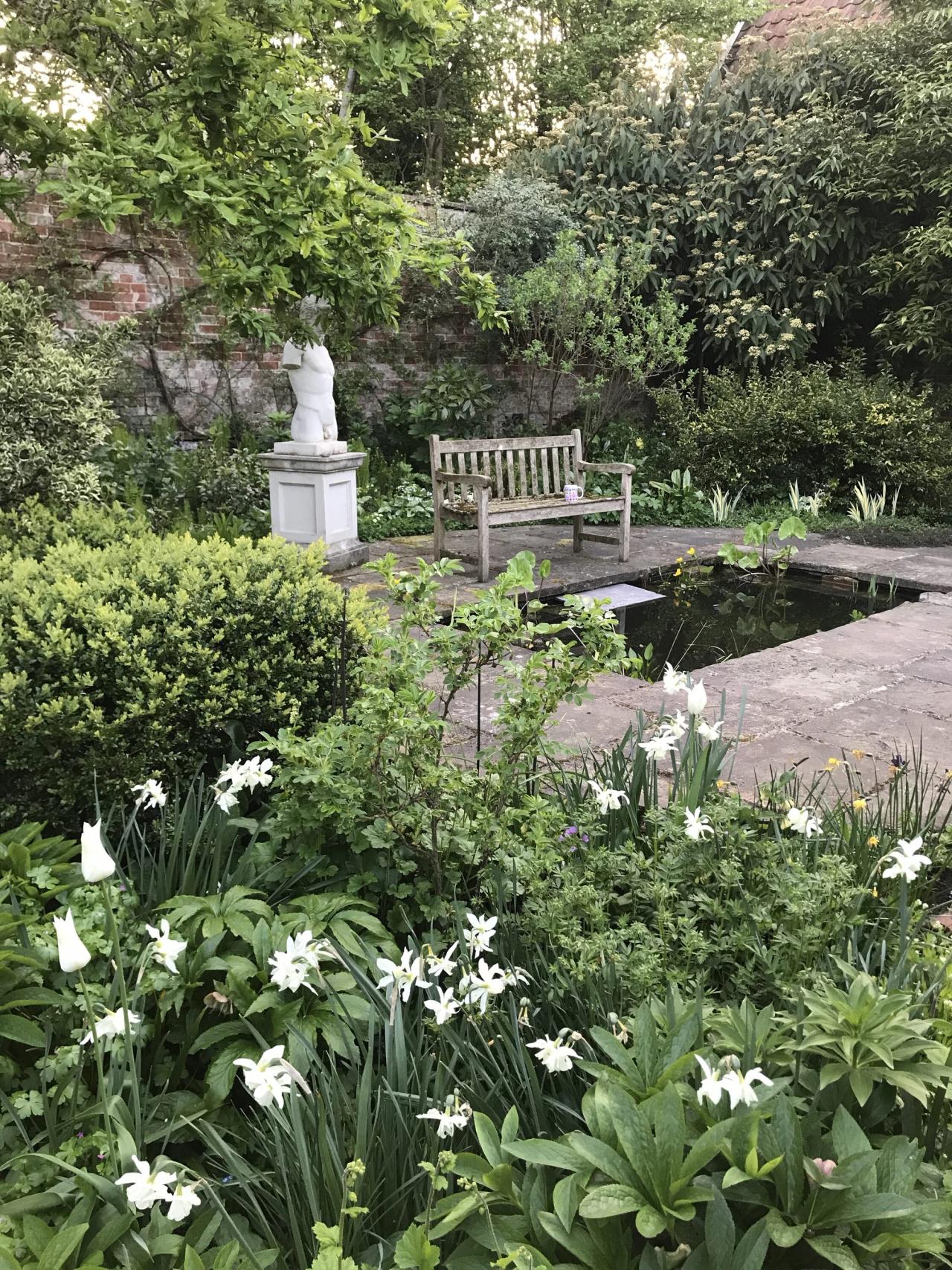 The library garden in April. (Courtesy Olivia Laing)