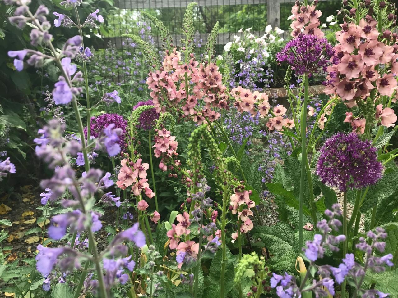 Needleman’s garden in upstate New York. (Courtesy Deborah Needleman)